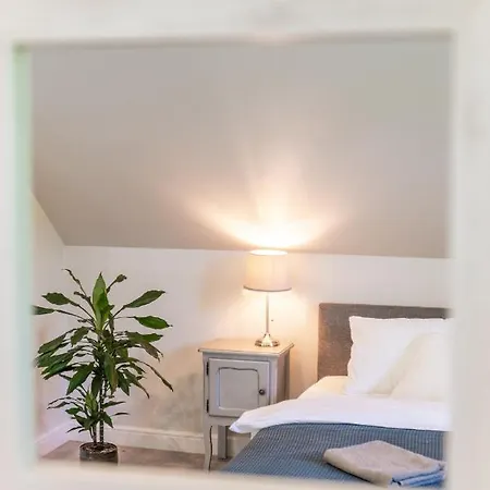 The Modern House