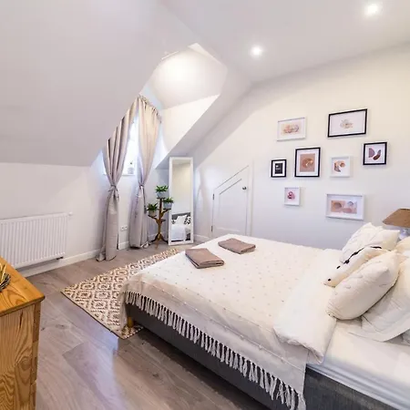 The Modern House 3* Raciechowice